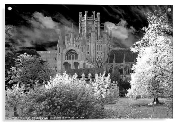 Ely Cathedral Octagon Tower in Monochrome Acrylic by Alison Whelan