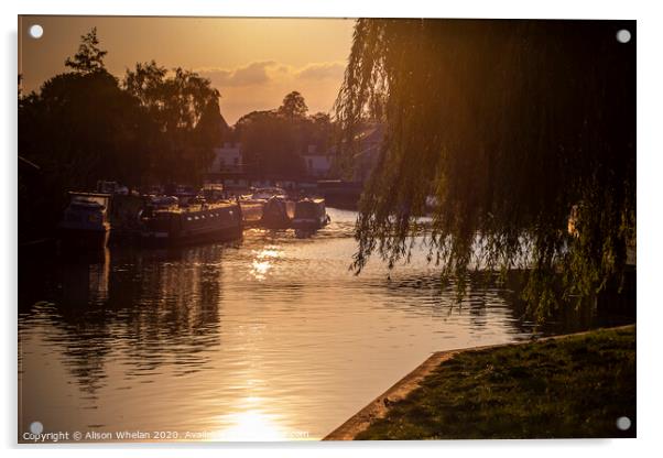 Great Ouse, Ely at sunset Acrylic by Alison Whelan