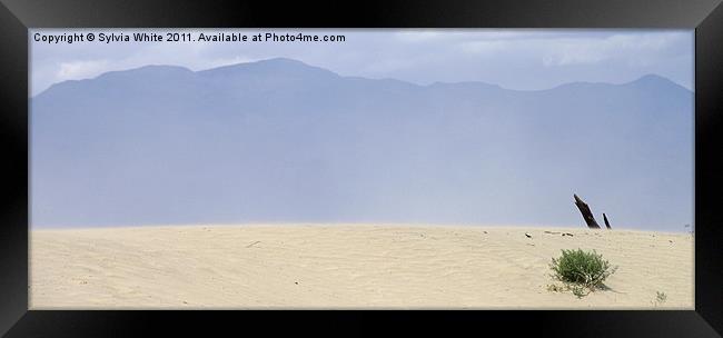 Death Valley Framed Print by Sylvia White
