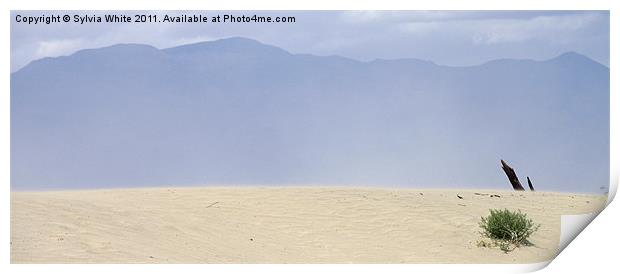 Death Valley Print by Sylvia White