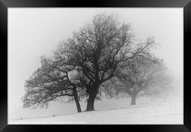 A Misty Tree on a Winter's Day Framed Print by Phil Whyte
