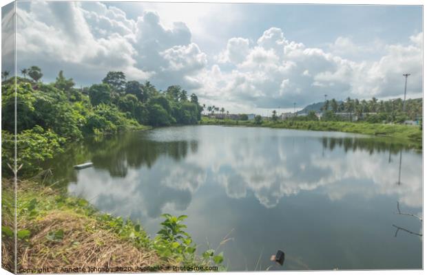 Pond Life Canvas Print by Annette Johnson