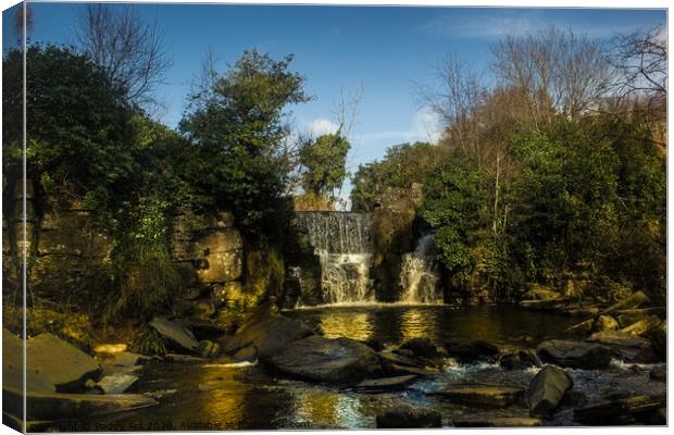 Waterfall in Penllergaer Woods Canvas Print by Paddy Art