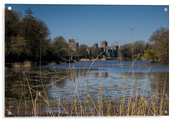 Pembroke Castle - Across the Mill Pond Acrylic by Paddy Art
