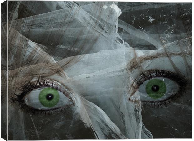 green eyed monster Canvas Print by rachael hardie