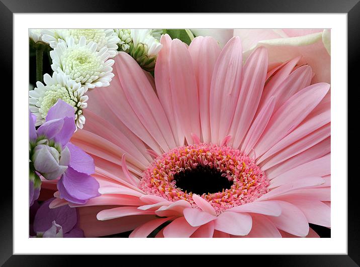 Flowers Framed Mounted Print by Tony Bates