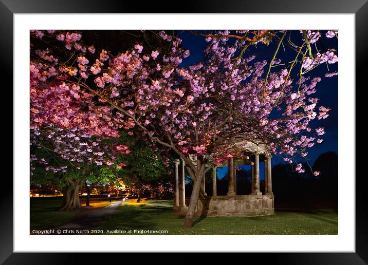 The Tewit Well, Harrogate. Framed Mounted Print by Chris North