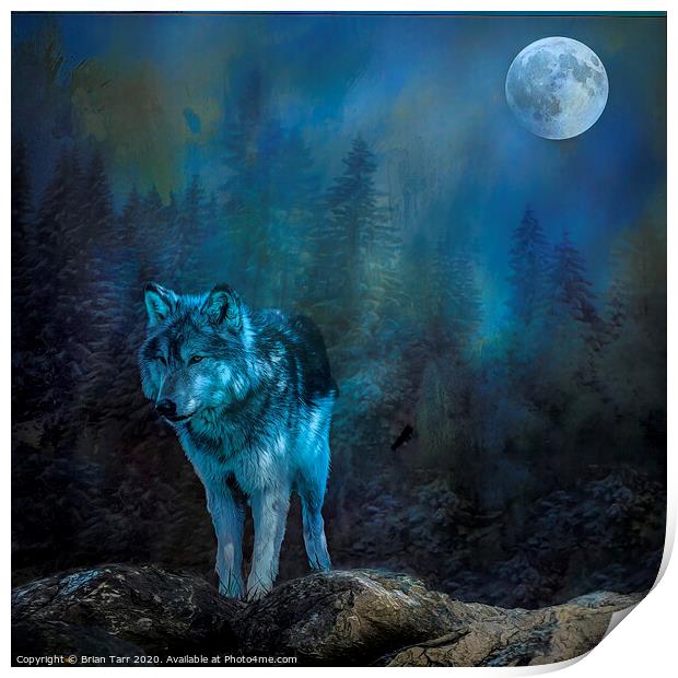 Lone wolf moon Print by Brian Tarr