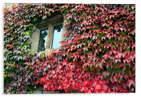 Autumn Ivy. Acrylic by john hill