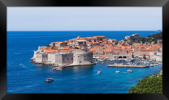 Boats moving around Dubrovnik harbour Framed Print by Jason Wells