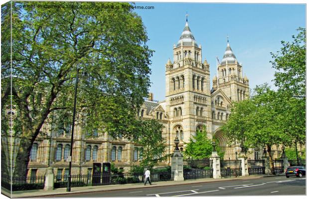 Natural History Museum, London Canvas Print by Laurence Tobin