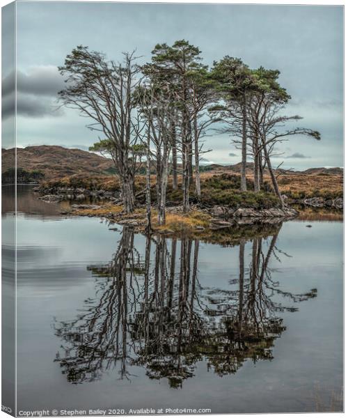 Loch Assynt Island Trees Canvas Print by Stephen Bailey