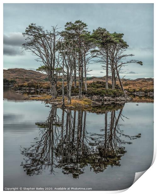Loch Assynt Island Trees Print by Stephen Bailey