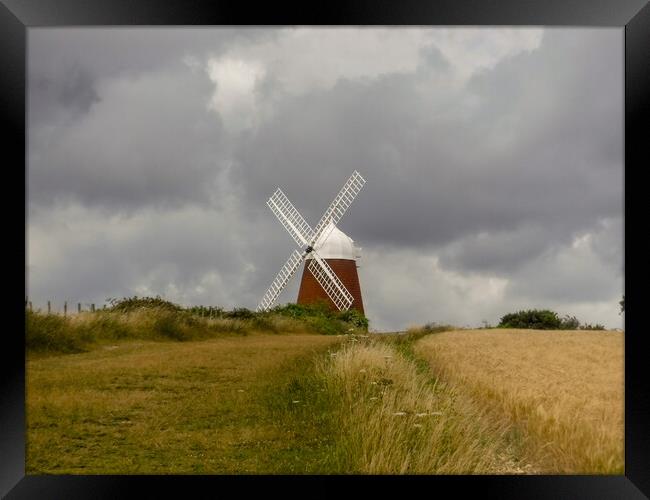 Halnaker Windmill, Chichester Framed Print by Susan Harrison