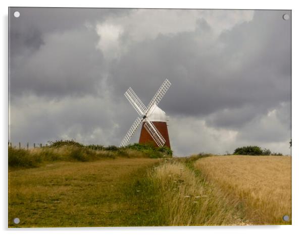 Halnaker Windmill, Chichester Acrylic by Susan Harrison