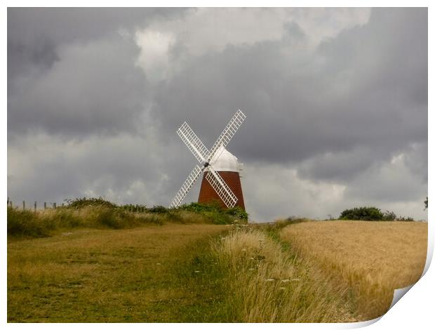 Halnaker Windmill, Chichester Print by Susan Harrison