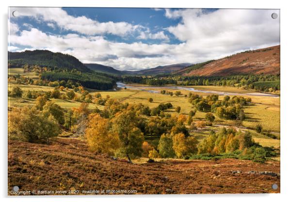 Linn of Dee in Autumn Cairngorms NP Scotland Acrylic by Barbara Jones