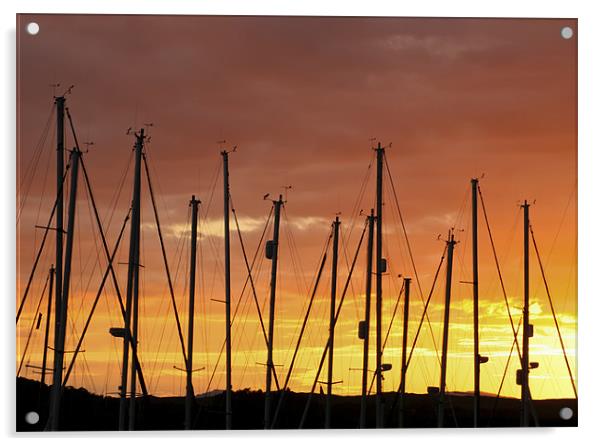 Sunset Silhouetting Masts of Yachts Acrylic by Tim O'Brien