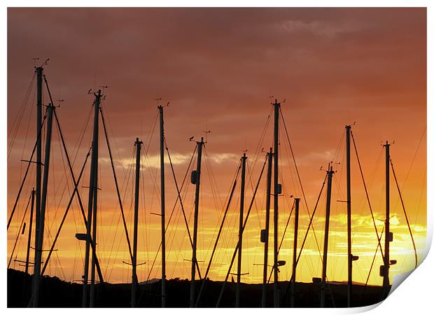 Sunset Silhouetting Masts of Yachts Print by Tim O'Brien