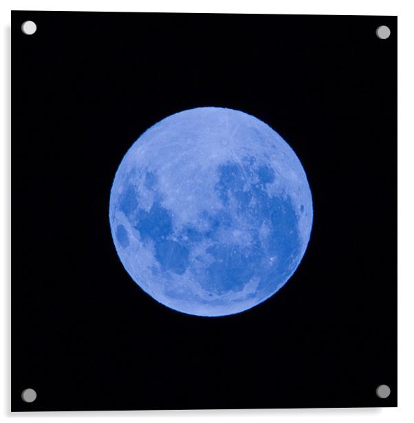Blue moon Acrylic by Craig Lapsley