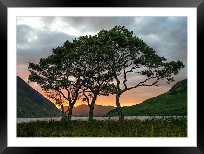 Crummock Water Trees Framed Mounted Print by Northern Wild