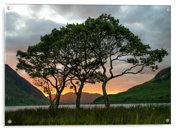 Crummock Water Trees Acrylic by Northern Wild
