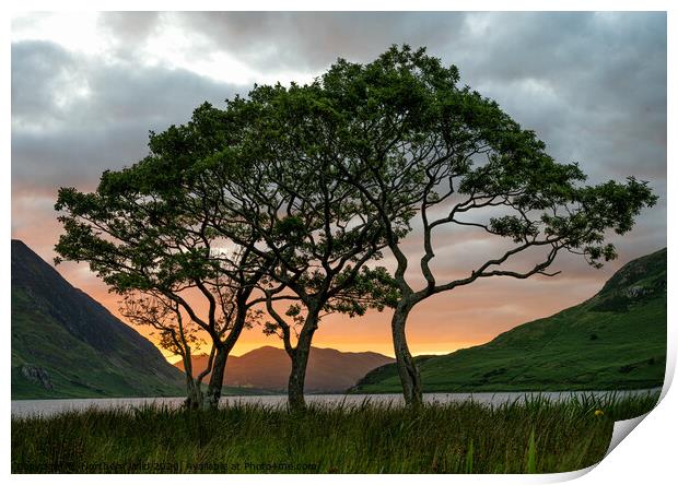 Crummock Water Trees Print by Northern Wild