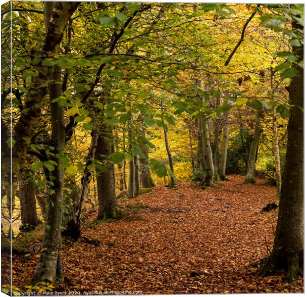 "Golden Transformation: A Serene Autumn Woodland" Canvas Print by Mike Byers