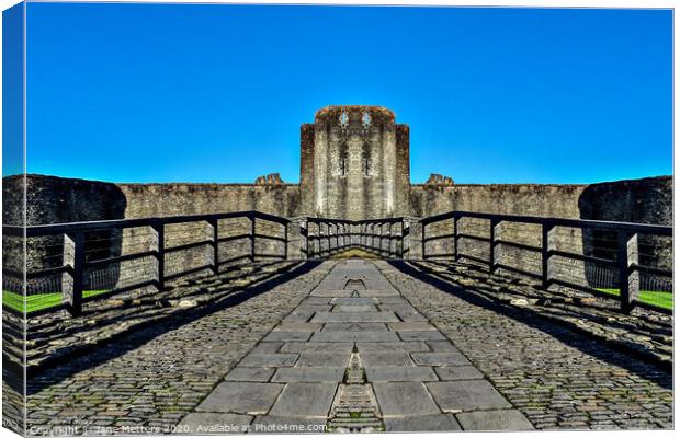 Entrance to Caerphilly Castle  Canvas Print by Jane Metters