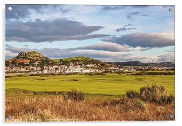 The View Over Conwy Golf Course Acrylic by Ian Lewis