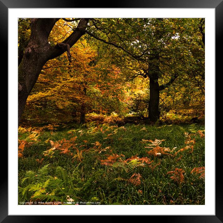 "Enchanting Autumn Tapestry" Framed Mounted Print by Mike Byers