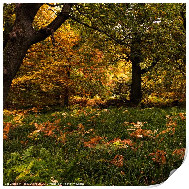 "Enchanting Autumn Tapestry" Print by Mike Byers