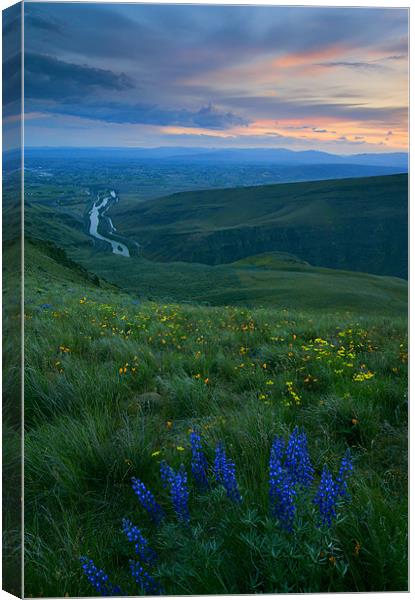 Dusk over the Yakima Valley Canvas Print by Mike Dawson