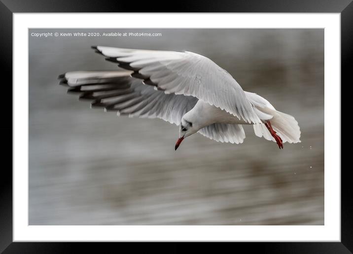 I can see food Framed Mounted Print by Kevin White