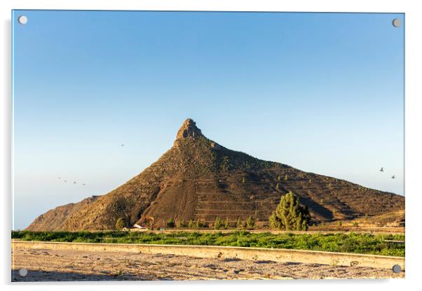 Rocky outcrop, Tenerife Acrylic by Phil Crean