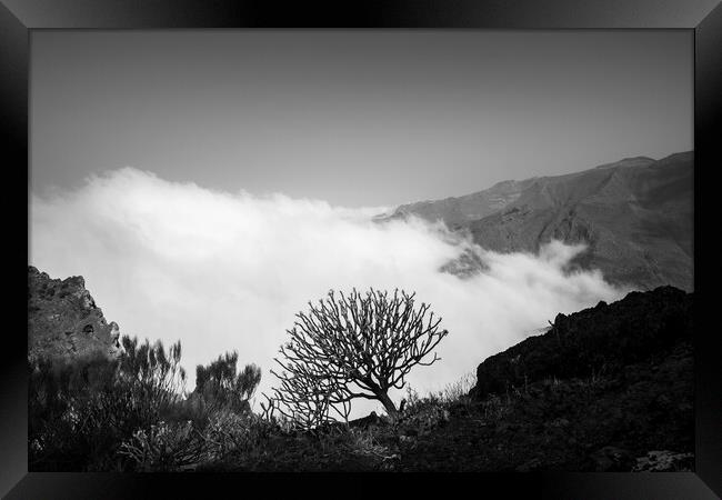 Cloud and shrub on mountain ridge Framed Print by Phil Crean