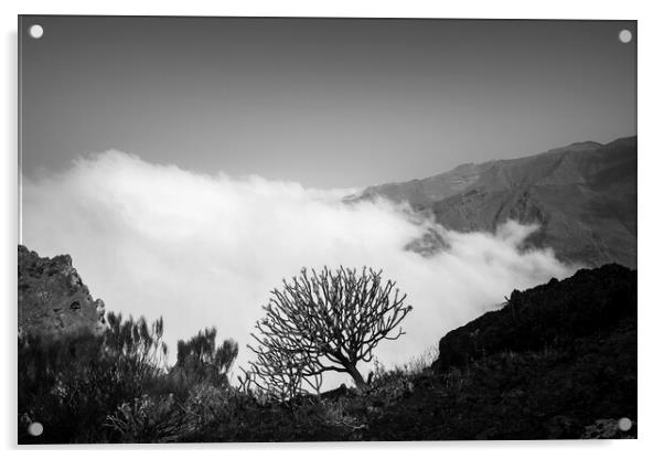 Cloud and shrub on mountain ridge Acrylic by Phil Crean
