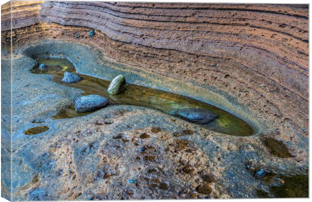 Colourful rockpool, Tenerife Canvas Print by Phil Crean