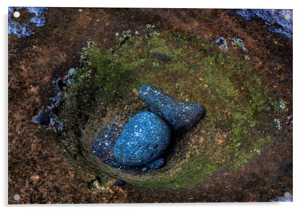 Rocks in rockpool Acrylic by Phil Crean