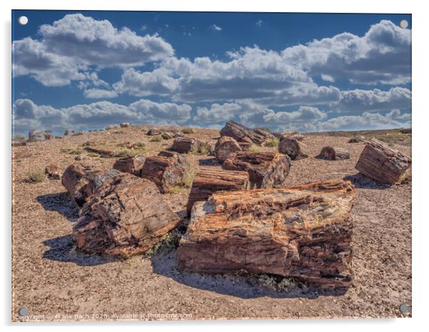 Petrified Forest near Holbrook, Arizona  Acrylic by Frank Bach
