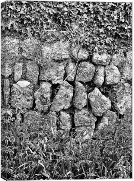 Black and white photo art of a section of a dry stone wall at Lands End, Cornwall. Canvas Print by Peter Bolton