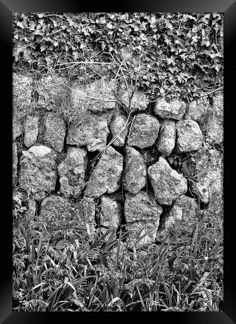 Black and white photo art of a section of a dry stone wall at Lands End, Cornwall. Framed Print by Peter Bolton