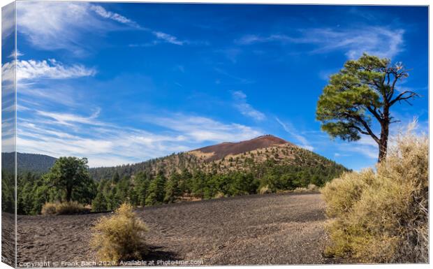 Sunset Crater National Monument near Flagstaff, Arizona  Canvas Print by Frank Bach