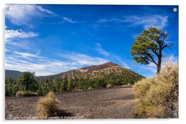 Sunset Crater National Monument near Flagstaff, Arizona  Acrylic by Frank Bach