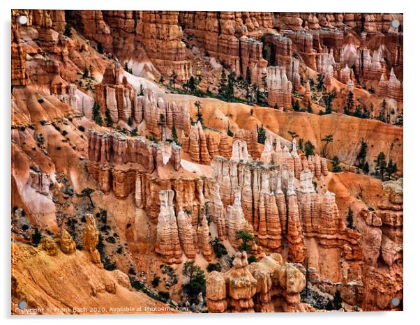 Bryce Canyon hoodoos, Utah Acrylic by Frank Bach