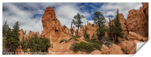Bryce Canyon hoodoos Navajo Trail, Utah Print by Frank Bach