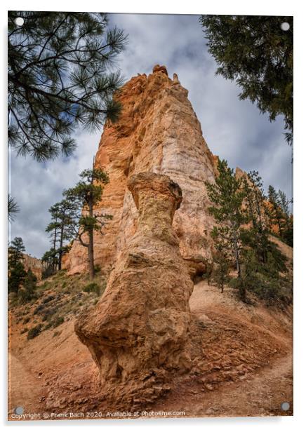 Bryce Canyon hoodoos, Utah Acrylic by Frank Bach