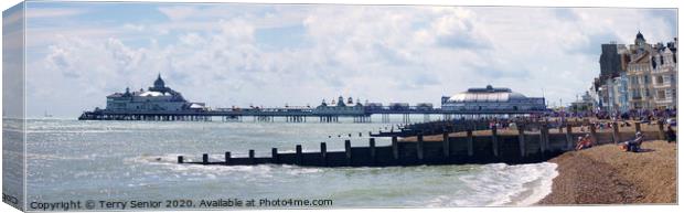 Panoramic view of Eastbourne Pier Canvas Print by Terry Senior