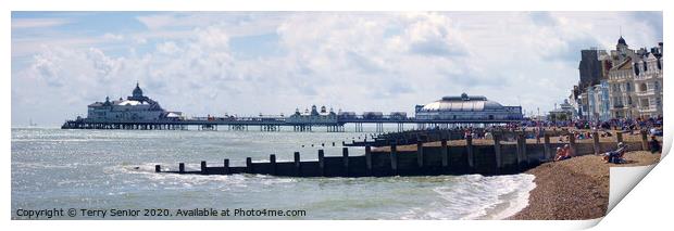 Panoramic view of Eastbourne Pier Print by Terry Senior