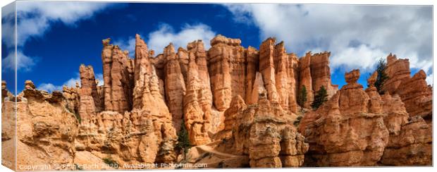 Bryce Canyon hoodoos Navajo Trail, Utah Canvas Print by Frank Bach